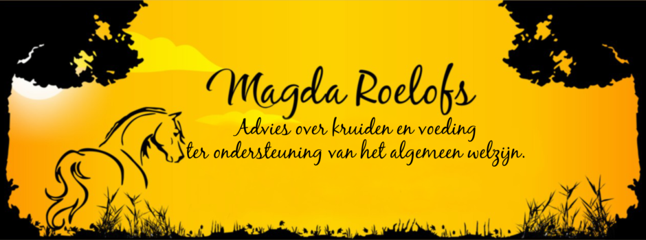 magda-slide-2.png