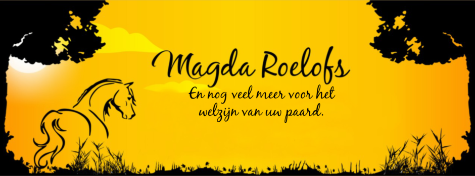 magda-slide-4.png